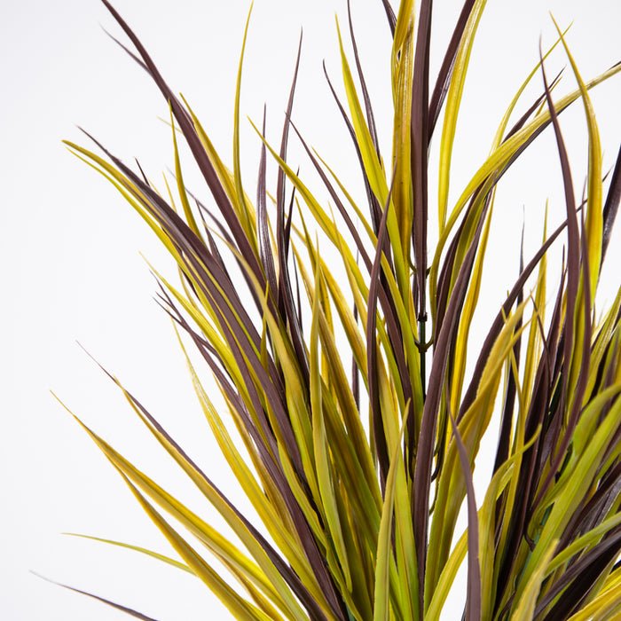 Orchard Grass Spray 24"