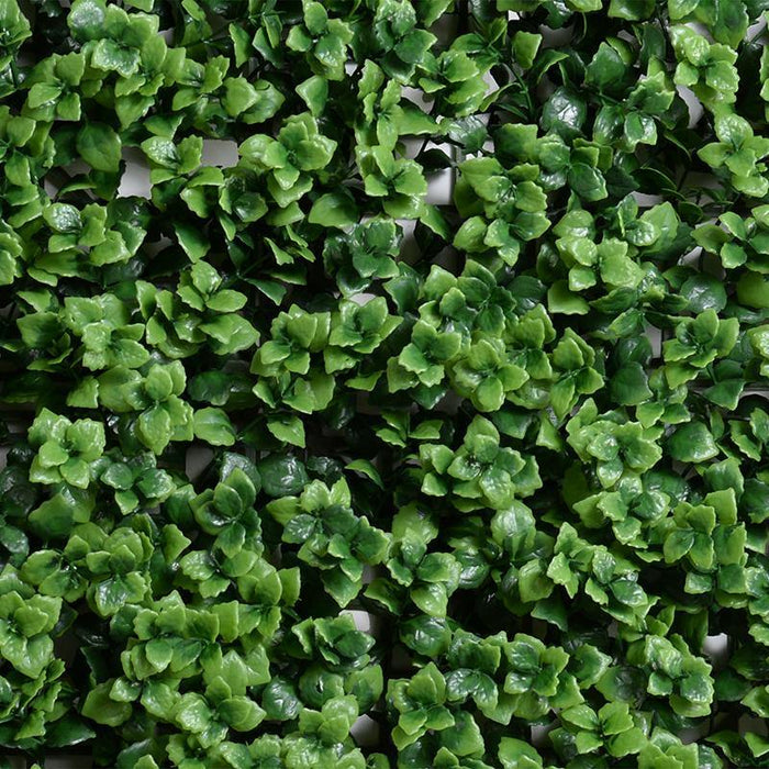 Pachysandra 12" Interlocking Mats (Case of 24) - New Growth Designs