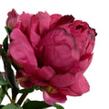 Peony Cutting in Blue & White 10"H