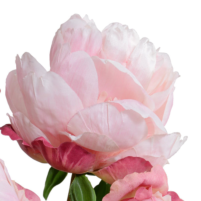 Peony Cutting in Blue & White 10"H