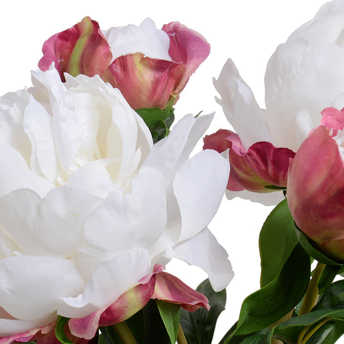 Peony Cutting in Blue & White 10"H