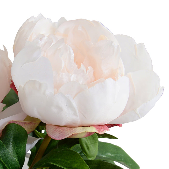 Peony Cutting in Glass 9"H