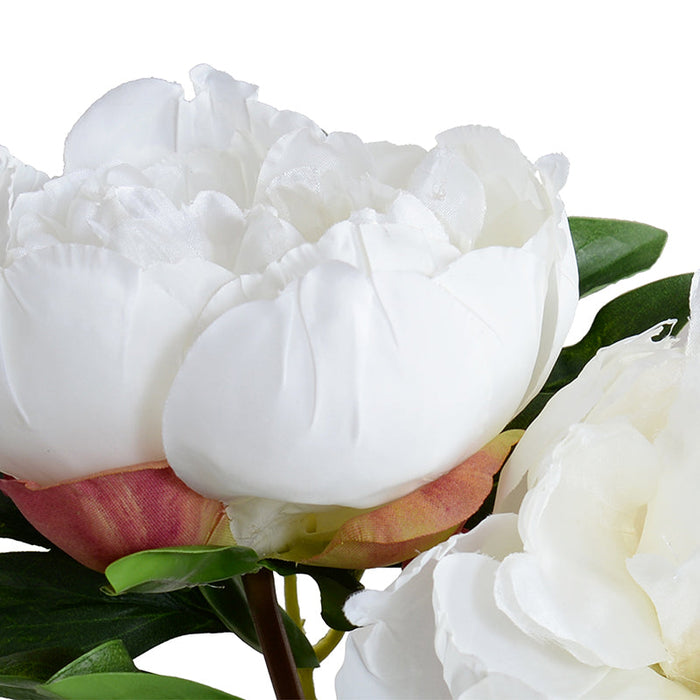 Peony Cutting in Glass 9"H