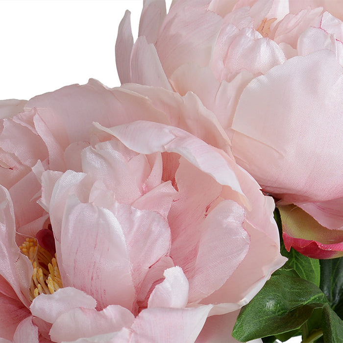Peony Cutting in Glass 9"H