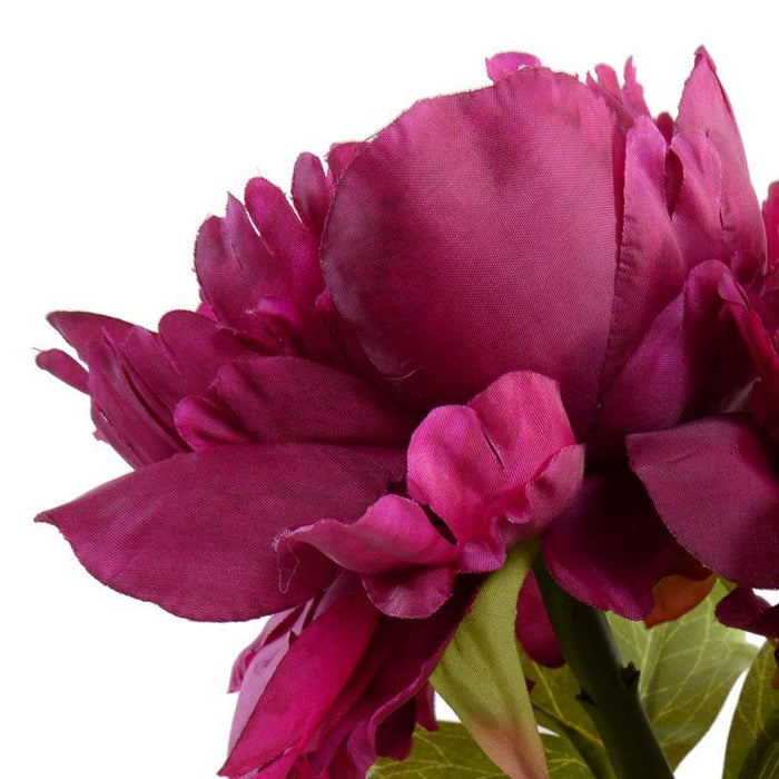 Peony Cutting in Glass 9"H