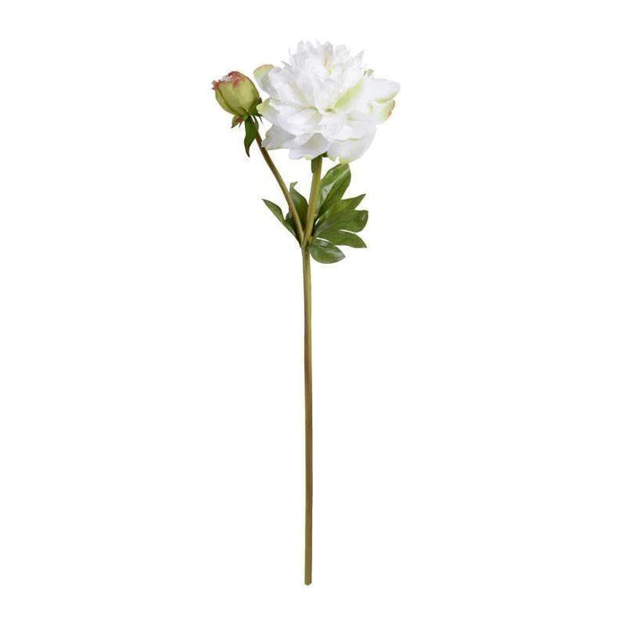 Peony Stem with Bud & Leaves, 28" - New Growth Designs