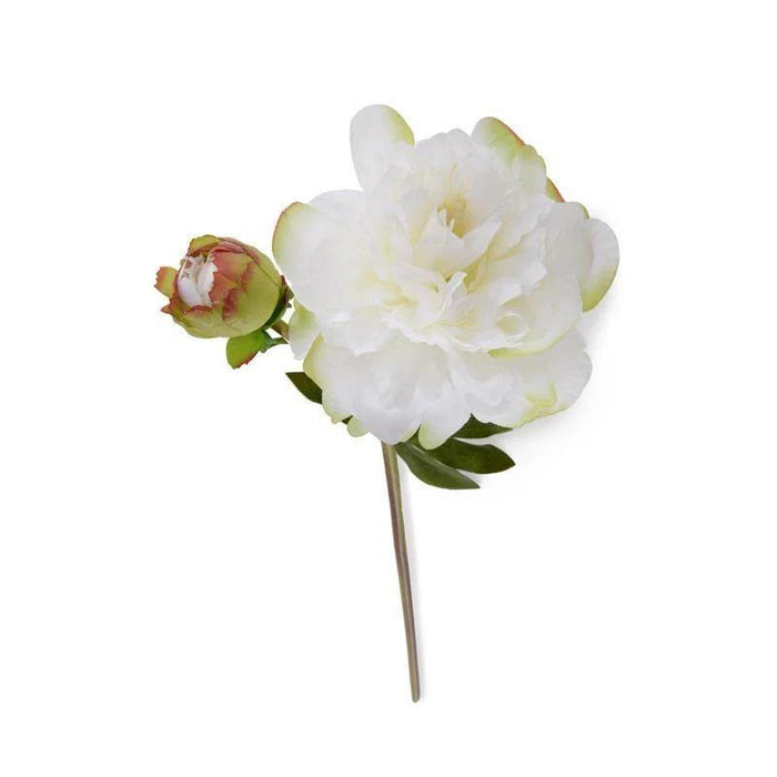 Peony Stem with Bud & Leaves, 28" - New Growth Designs