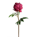Peony Stem with Leaves, 26" - New Growth Designs