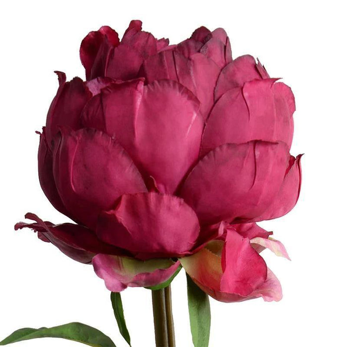 Peony Stem with Leaves, 26" - New Growth Designs