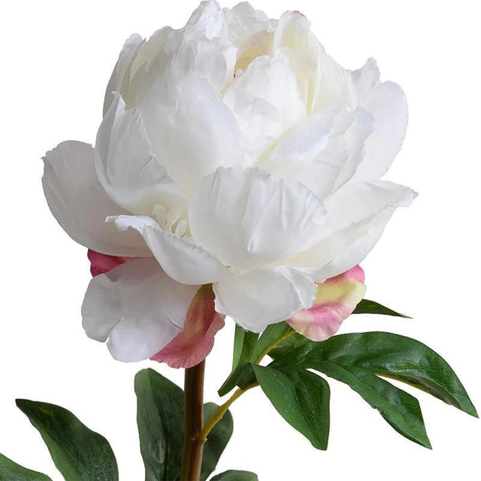 Peony Stem with Leaves, 26" - New Growth Designs