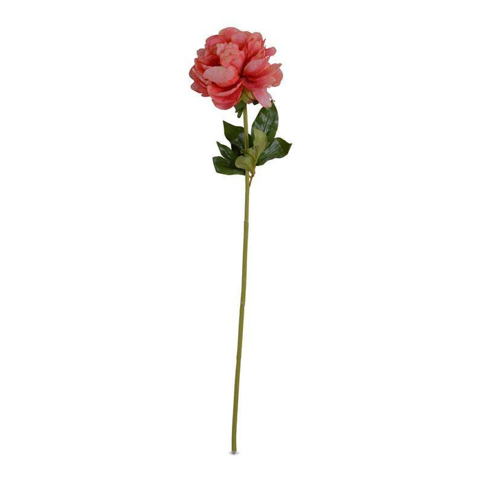 Peony Stem with Leaves, 28" - New Growth Designs