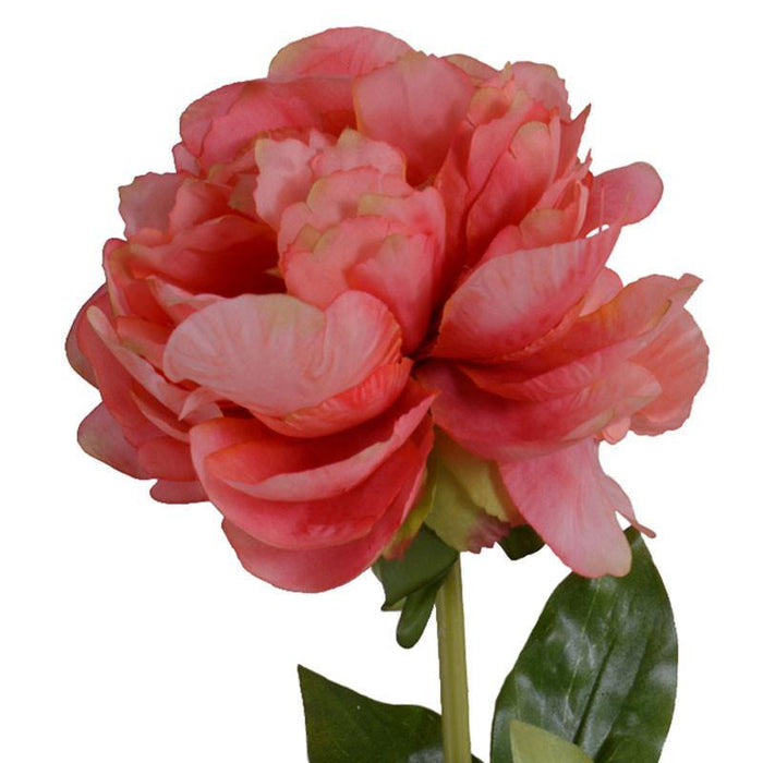 Peony Stem with Leaves, 28" - New Growth Designs