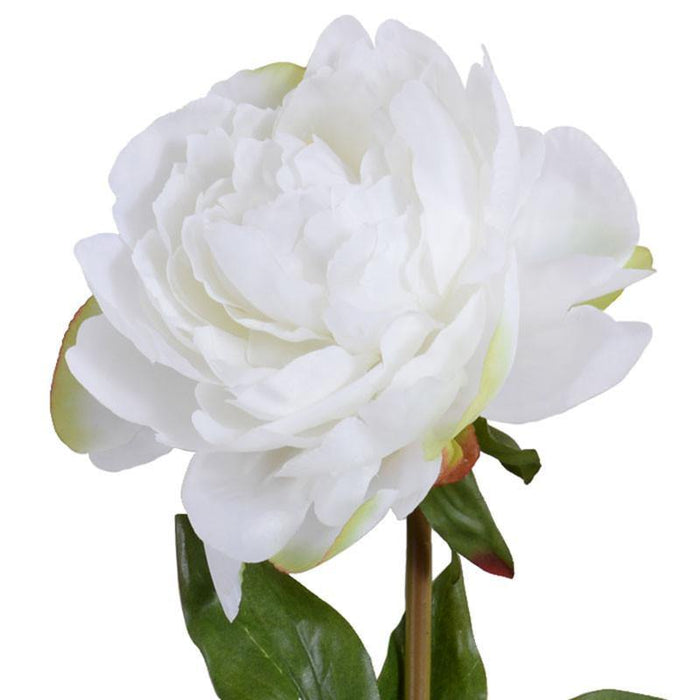 Peony Stem with Leaves, 28" - New Growth Designs