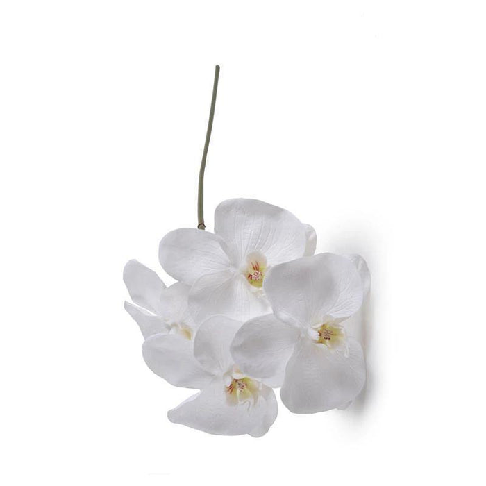 Orchid x 4 Stem, 26"L - Phalaenopsis - New Growth Designs