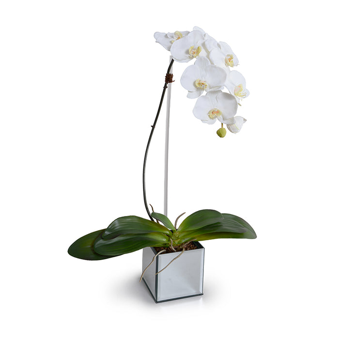 Modern Wholesale Phalaenopsis Faux Orchid Stem White in Mirror Vase Indoor 32 Inches Tall - New Growth Designs