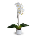 Wholesale Artificial Phalaenopsis Stem White in Modern White Porcelain Vase Indoor 27 Inches Tall - New Growth Designs