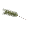 Pine Spray, 34" L - Carolina - New Growth Designs
