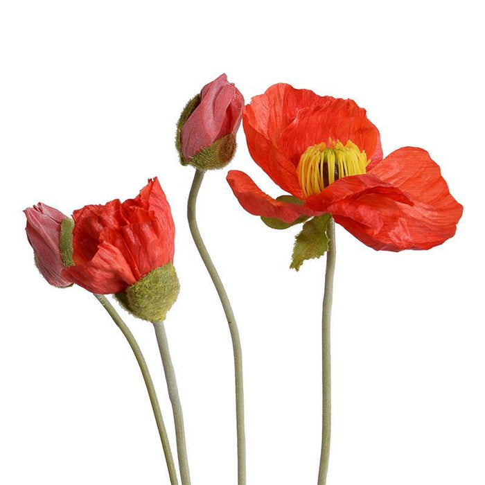 Poppy Spray - Orange-red - New Growth Designs
