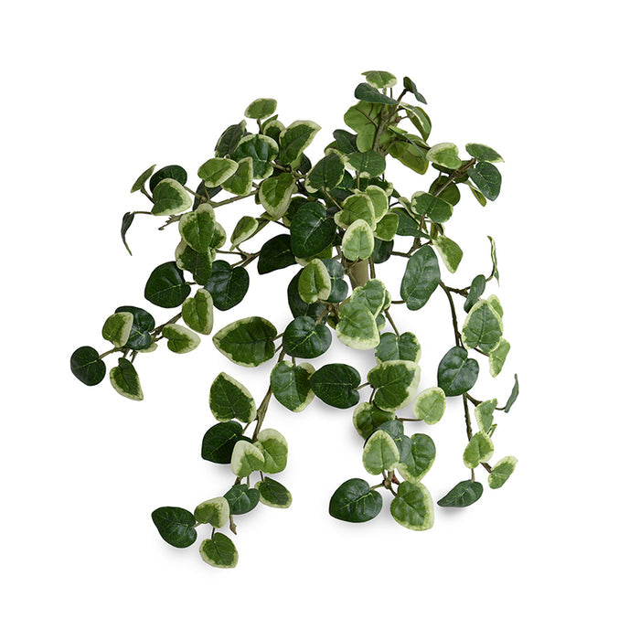 Faux Inherently Fire Retardant (IFR) Pumila (Creeping Fig) Bush for Modern Decor - New Growth Designs