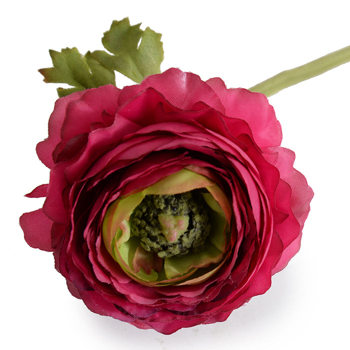 Ranunculus, 15" L - Beauty