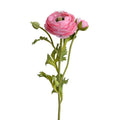 Ranunculus Spray - Dark Pink - New Growth Designs