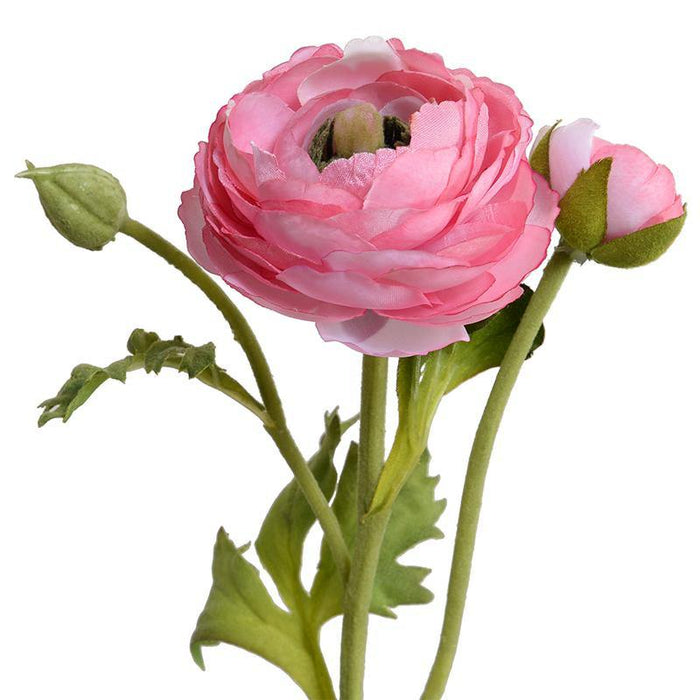Ranunculus Spray - Dark Pink - New Growth Designs