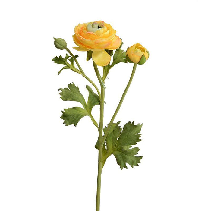 Ranunculus Spray - Gold - New Growth Designs
