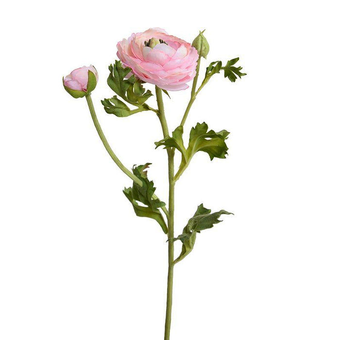 Ranunculus Spray - Light Pink - New Growth Designs