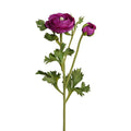 Ranunculus Spray - Fuchsia - New Growth Designs