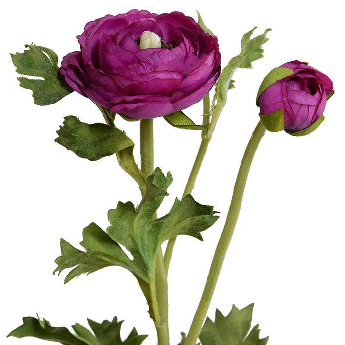 Ranunculus Spray - Fuchsia - New Growth Designs