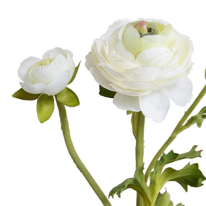 Ranunculus Spray - White - New Growth Designs