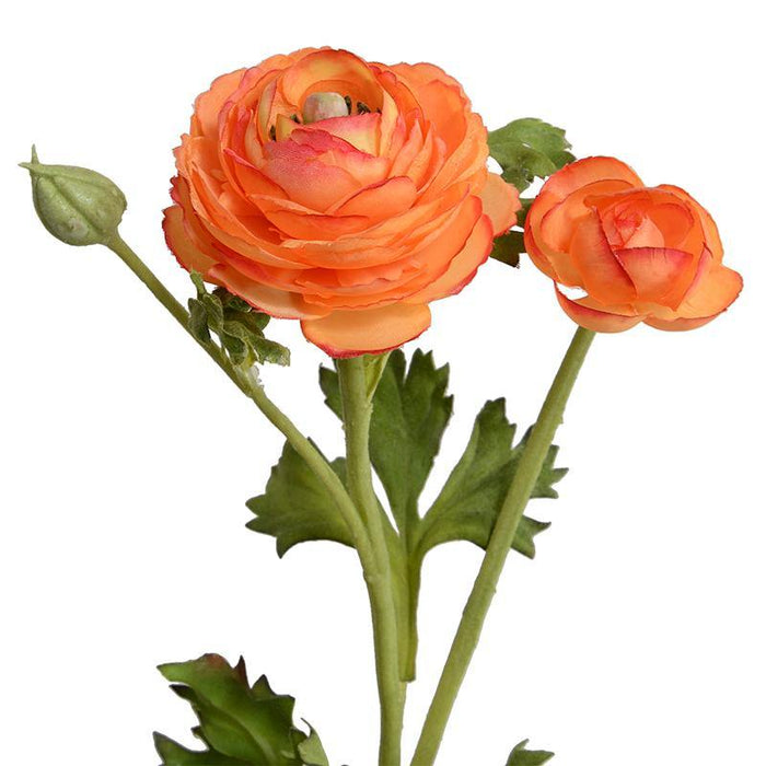 Ranunculus Spray - Red Orange - New Growth Designs