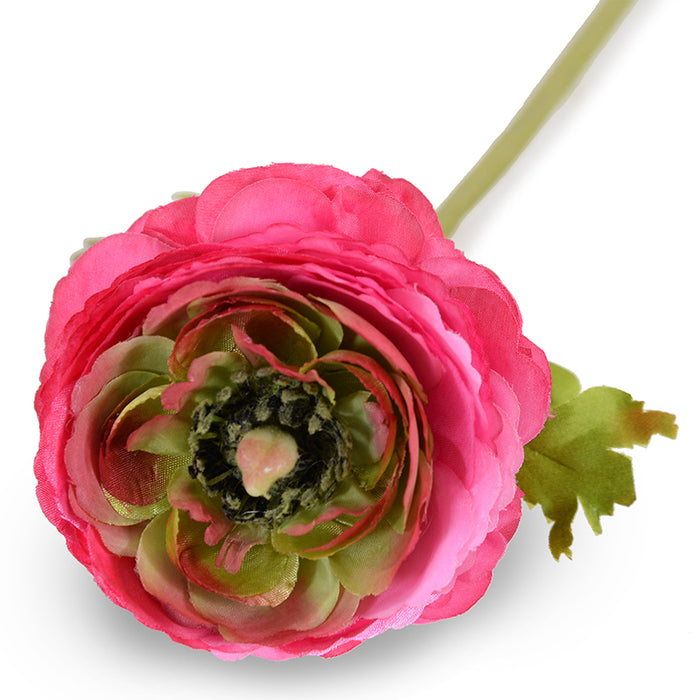 Ranunculus Stem, 15"L - Bright pink