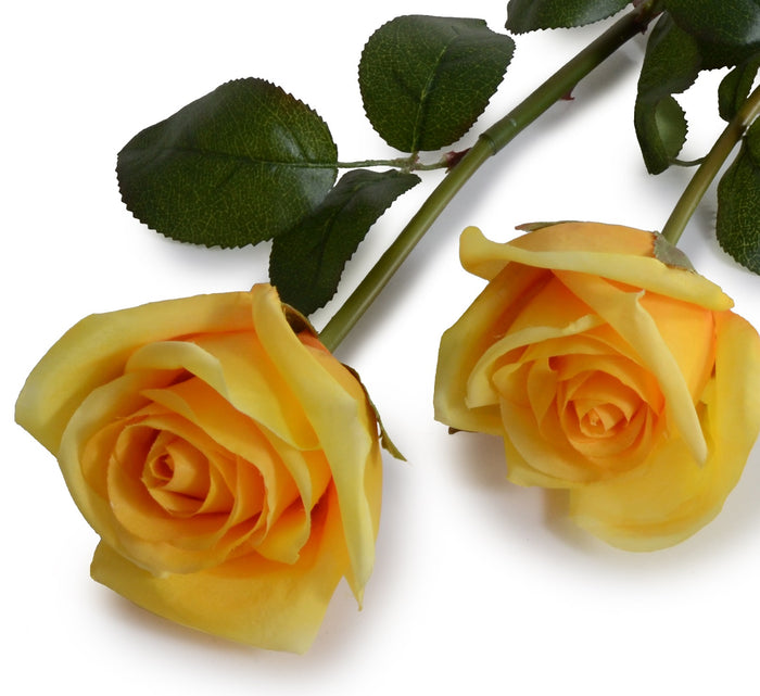 Rose Stem, 29" - Yellow