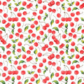 Sanbao Underglaze Cherry