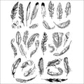 Sanbao Underglaze Feather