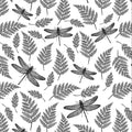 Sanbao Underglaze Insects, Dragonfly