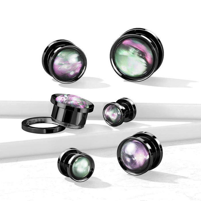 Body Jewelry - Shell Plug 6mm-16mm