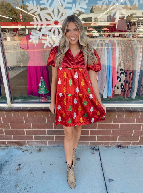 Sleighbell Dress*Final Sale