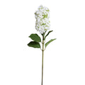 Snowflake (Pee Gee) Hydrangea Stem, 35"L
