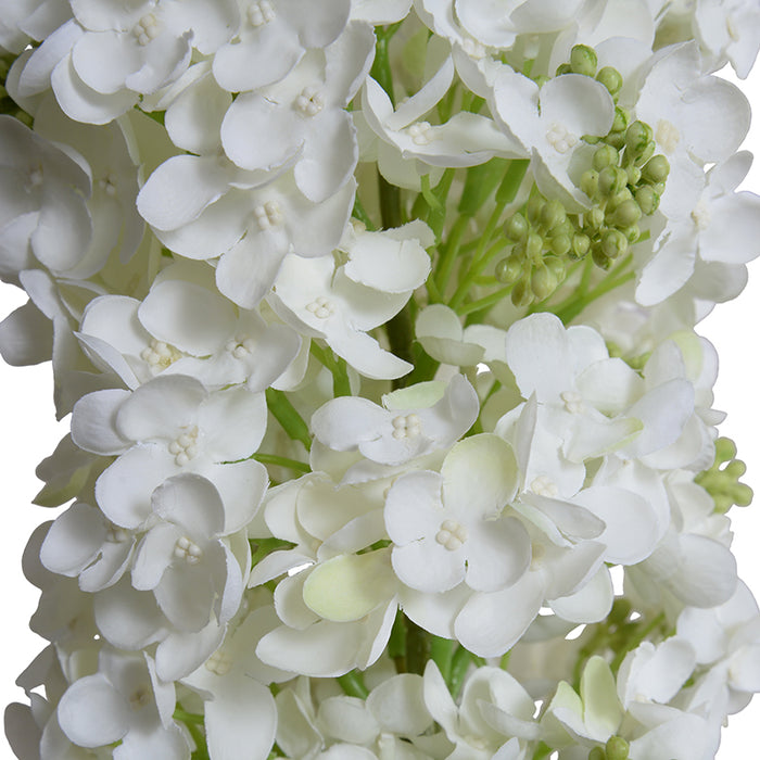 Snowflake (Pee Gee) Hydrangea Stem, 35"L