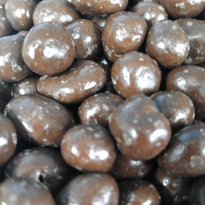 Sugar Free Milk Chocolate Covered Raisins