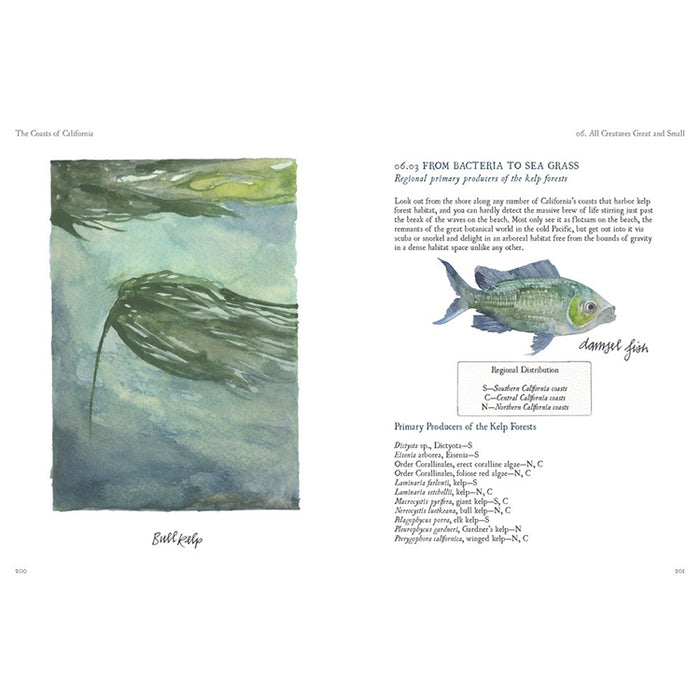 Interior page from the Book The Coasts of California