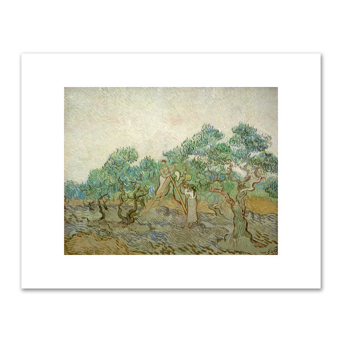 Vincent van Gogh, The Olive Orchard, 1889, National Gallery of Art, Washington, DC. Fine Art Prints in various sizes by Museums.Co