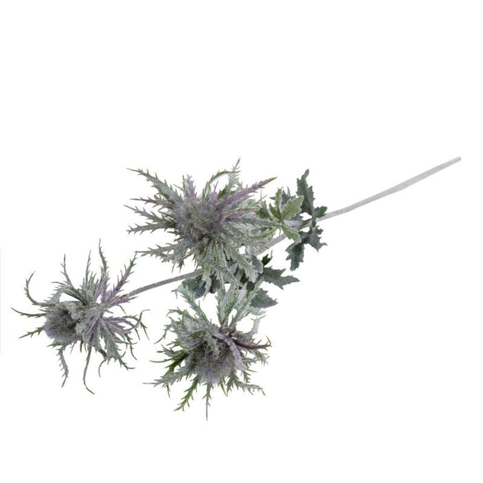 Thistle Spray