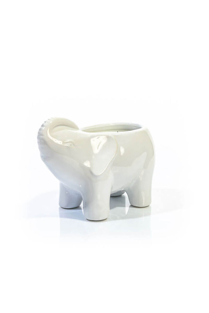 Thompson Ferrier White Elephant Candle - Mildred Hoit