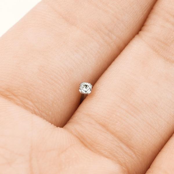 Body Jewelry - Titanium Prong Nose L Bend 20G 18G