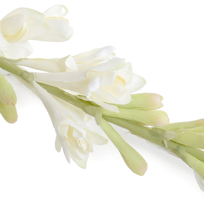 Tuberose flower stem, 35"L