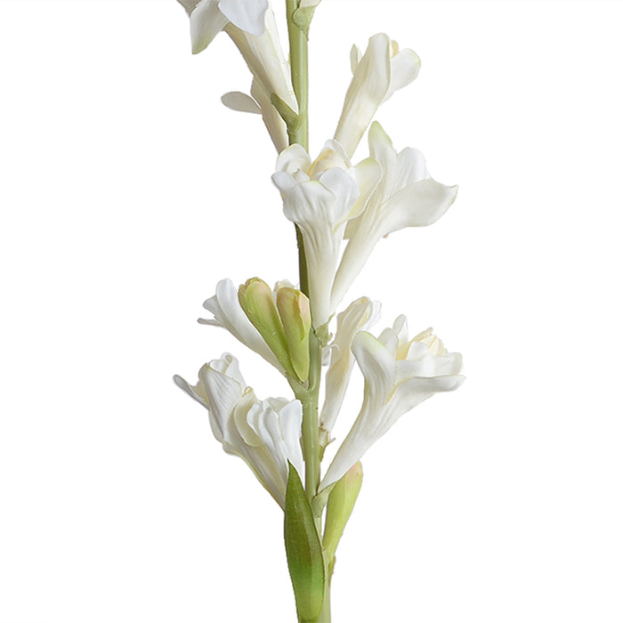 Tuberose flower stem, 35"L