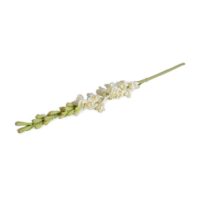 Tuberose flower stem - New Growth Designs